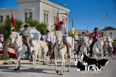 2024-Wallfahrt-Camargue-04